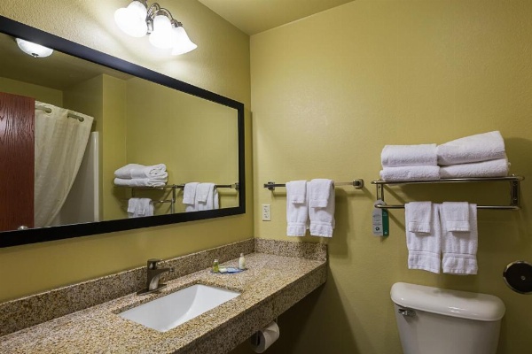 Cobblestone Inn & Suites - Altamont image 10